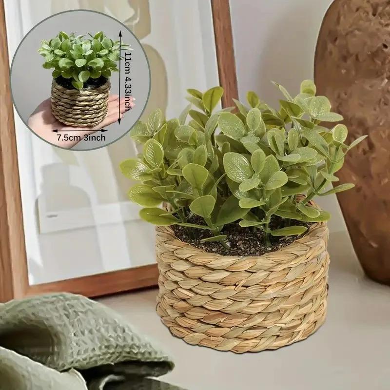1 pezzo di piante in vaso picc - Home Office Layout recensione e prezzo